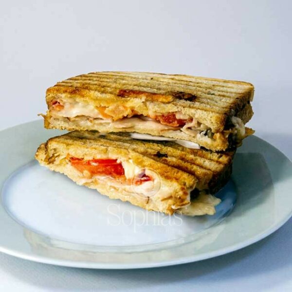 Turkey Swiss Panini