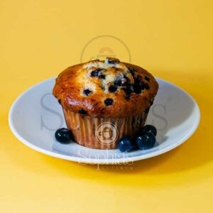 Blueberry Muffin